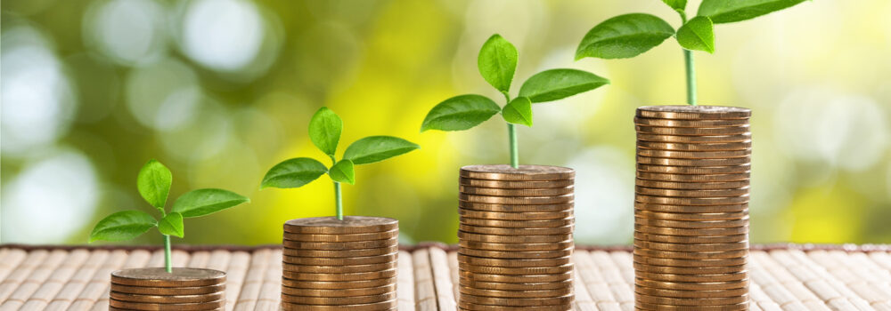 Investment Growth