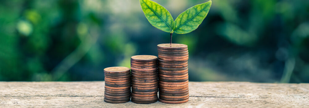 Retirement Growth